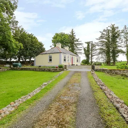 Birch Tree Westport